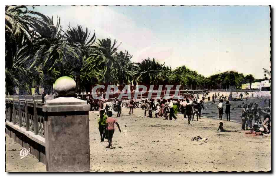 CPA Bizerte La Plage Tunisie 