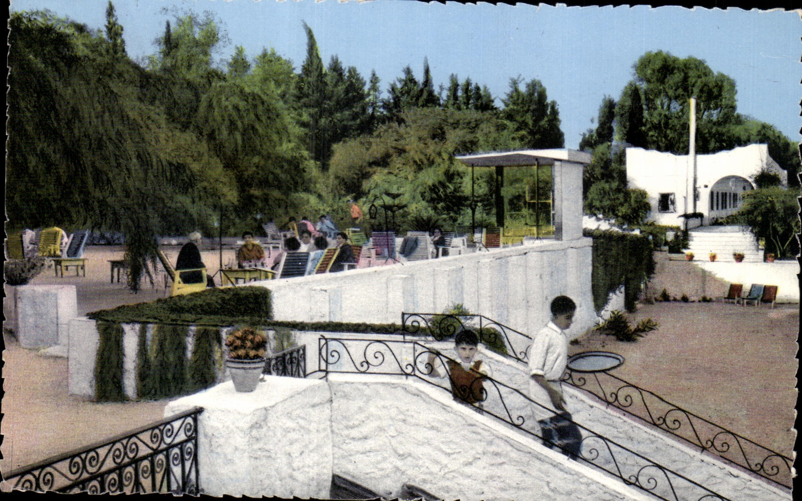 CPA Hammamet (Tunisie) Hotel Miramar Tunisie