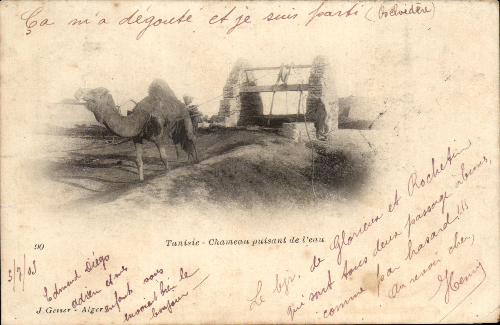 CPA Tunisie Chameau puisant de l eau Chameau Camel