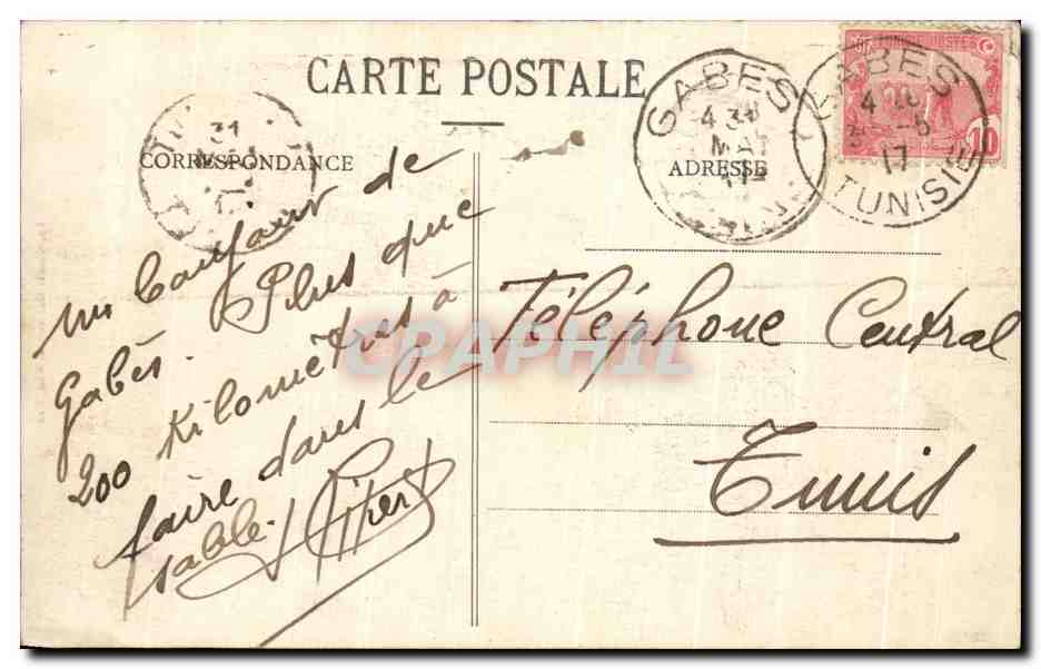 CPA Campagne 1915 1917 Royaume Du Cafard Extreme Sud Tunisien Insecte Tunisie — Verso