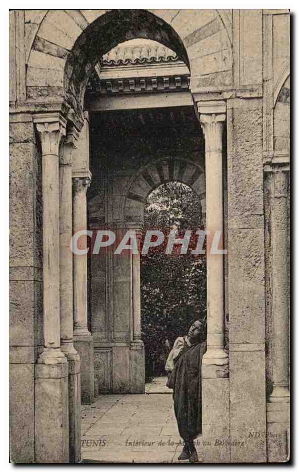 CPA Tunis Interieur Belvedere Tunisie