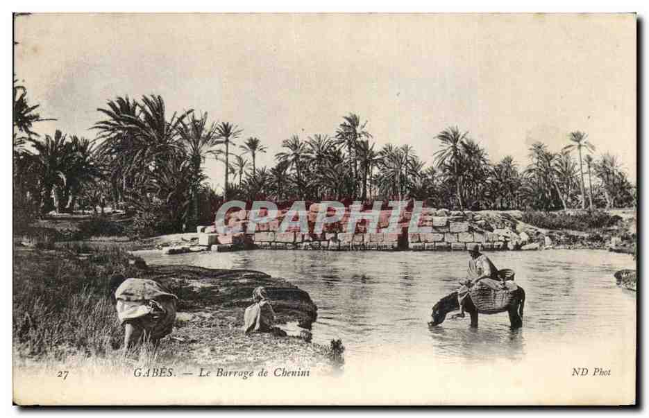 CPA Gabes Le Barrage de Chenim ane Donkey Enfants