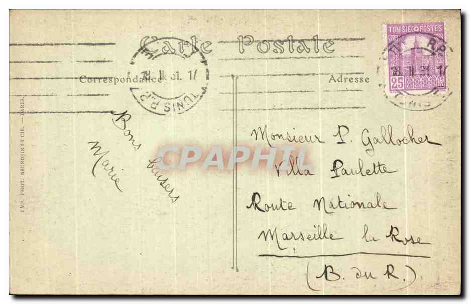 CPA Chameaux Camel Tunisie — Rückseite