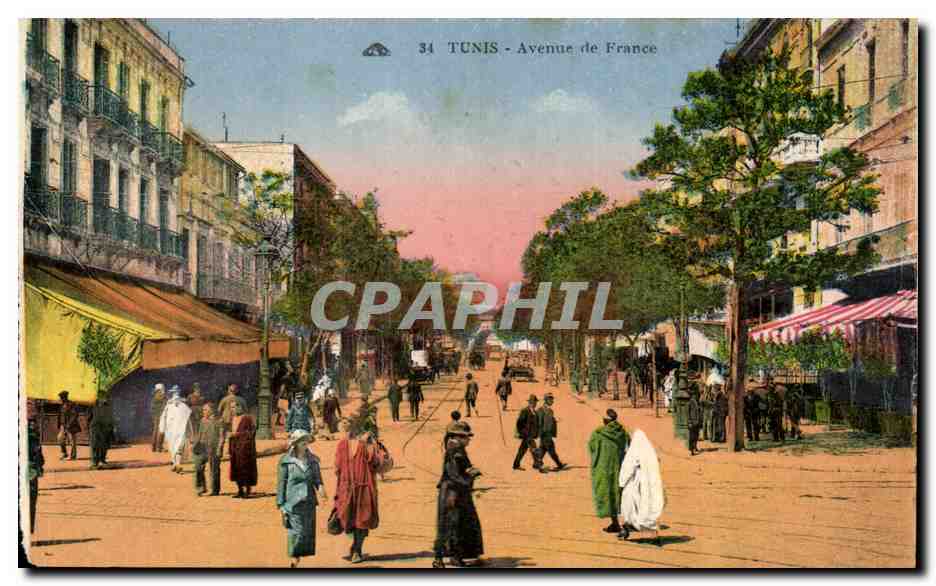 CPA Tunisie Tunis Avenue de France