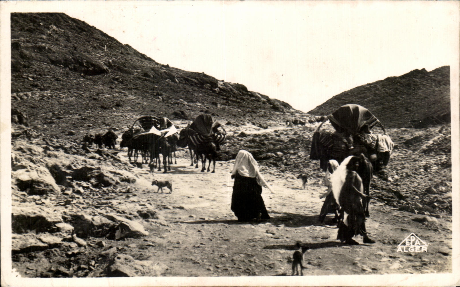 CPA Tunisie Scenes Et Types Caravane de Nomades