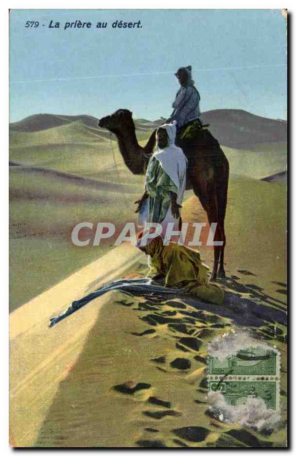 CPA Tunisie La Priere au desert chameau Camel