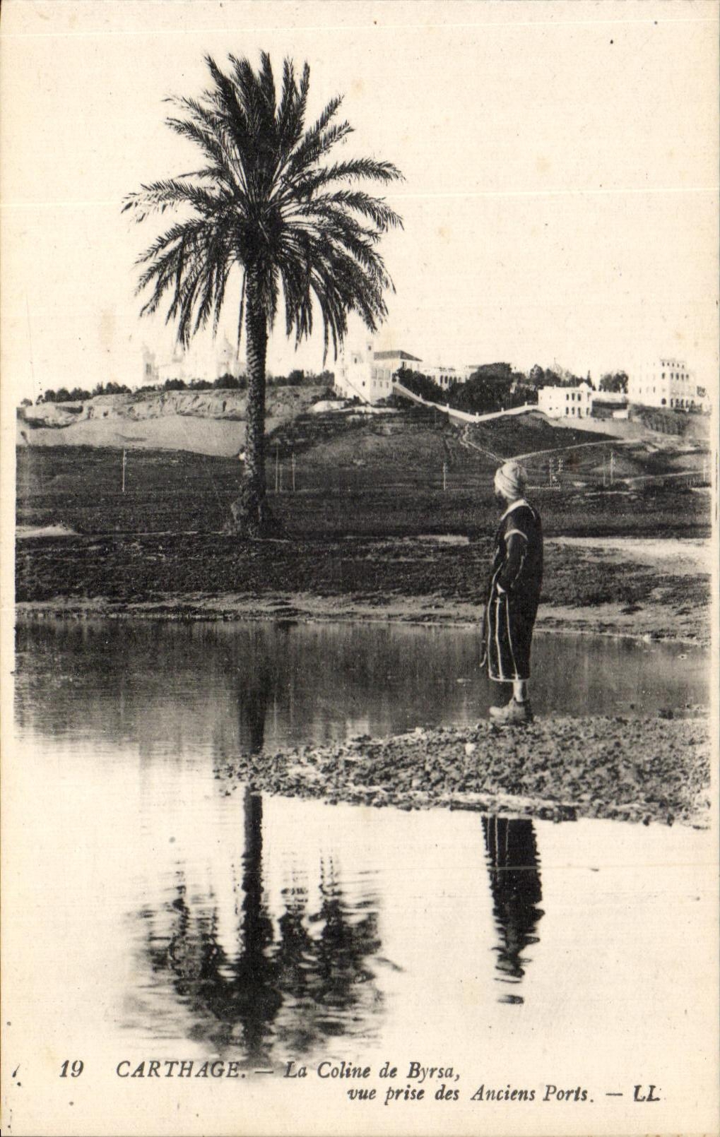 CPA Tunisie Carthage Le Coline De Byrsa vue Prise Des Anciens Ports