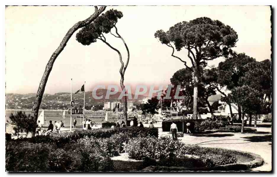 CPA la Cote D Azur Juan les Pins La Pinede