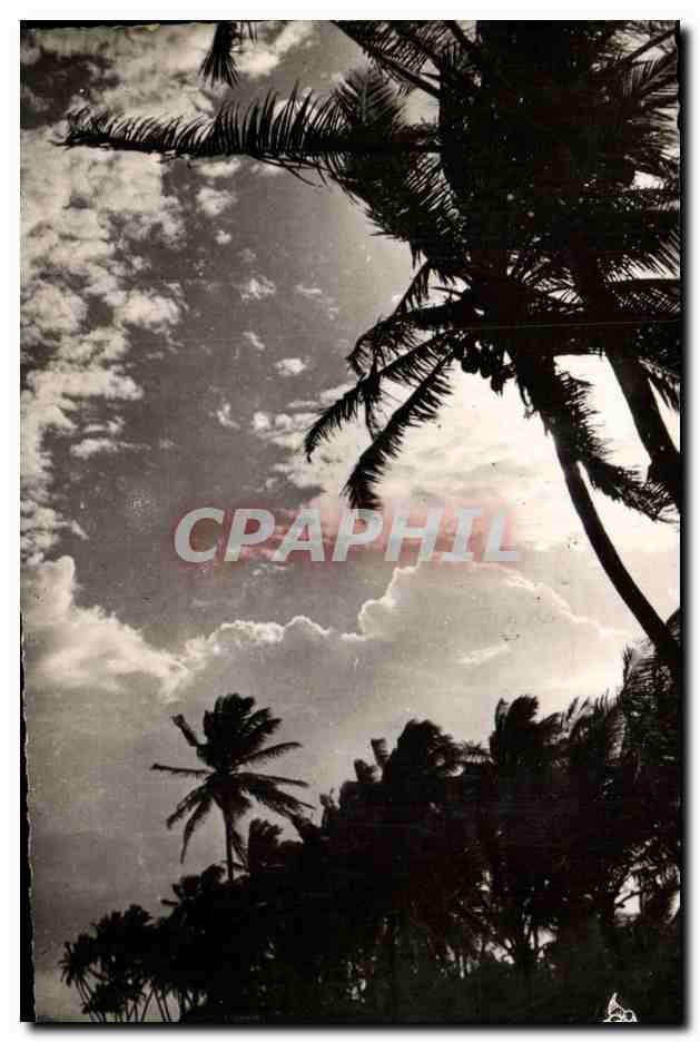 CPA Schoelcher Coucher de Soleit sur la Mer des Caraibes Sunset Martinique