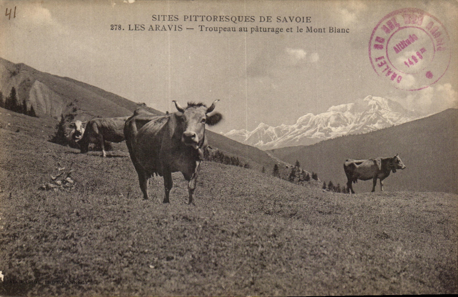 CPA Sites Pittoresques De Savoie Les Aravis Vaches 