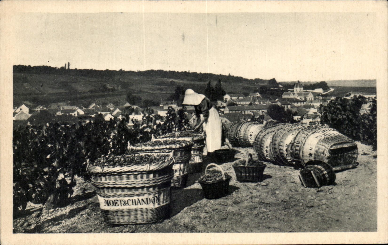 CPA Scene de vendange a Le Mesnil sur Oger Moet et Chandon Champagne 