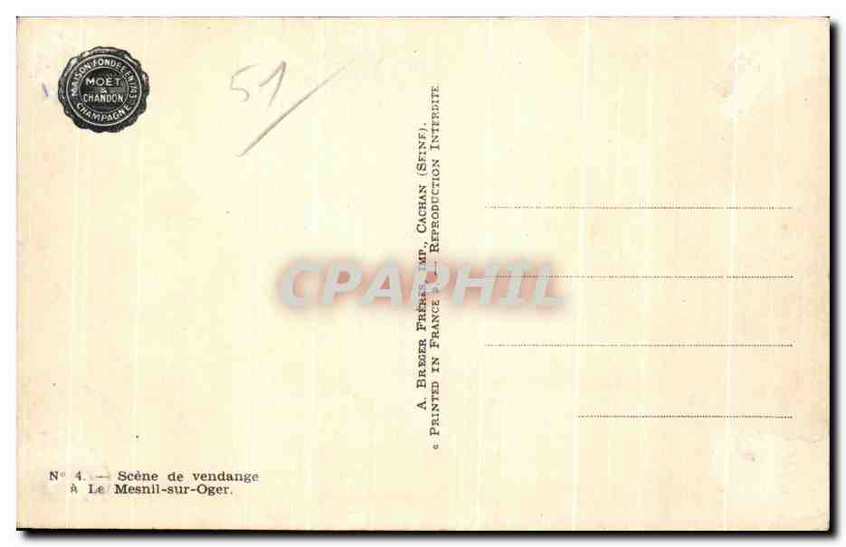 CPA Scene de vendange a Le Mesnil sur Oger Moet et Chandon Champagne  — Back