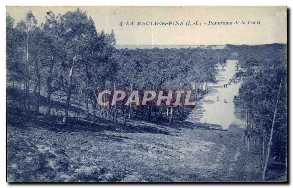 CPA La Baule les Pins Panorama de la Foret