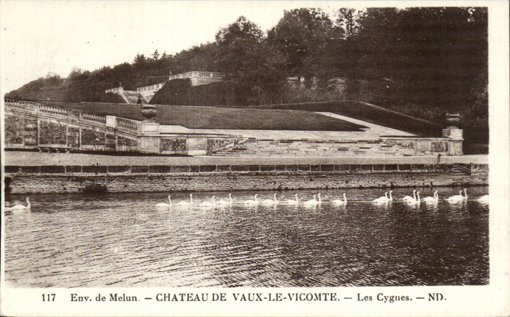 CPA Chateau de Vaux Le Vicomte Les Cygnes Melun Swan