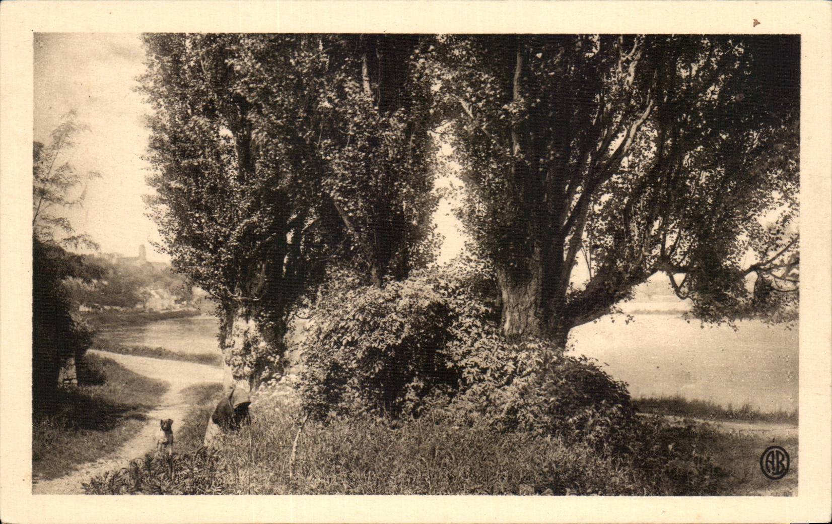 Saint-Fargeau-sur-Seine — Vue du château et de la Seine — Édition des Arts du Foyer