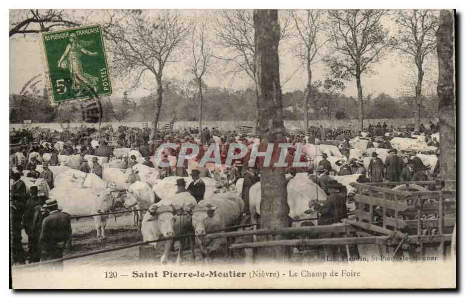 CPA Saint Pierre le Moutier Le Champ de Foire TOP Vaches Bouefs