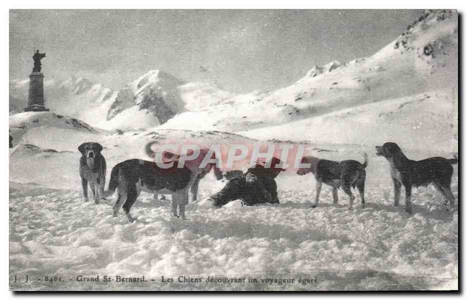 REPRO Grand St Bernard Les chiens decouvrant un voyageur egare Chiens Dogs