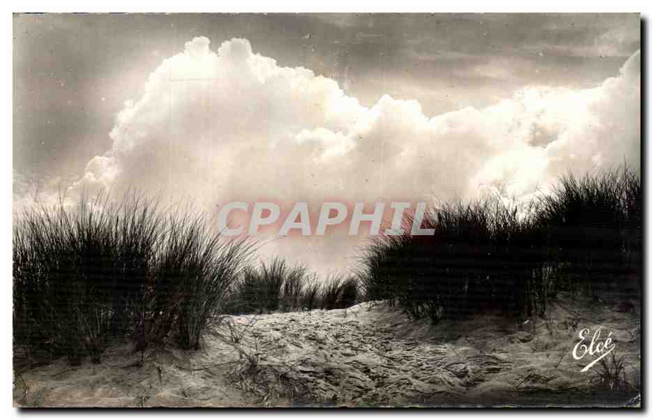 CPA Ile D Oleron La Dune Sauvage a I Ocean