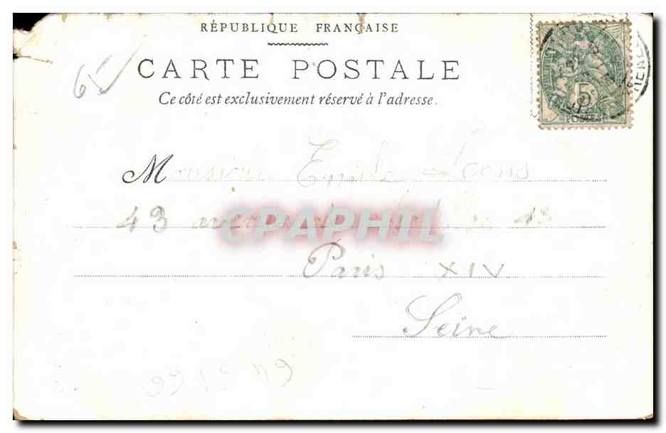 Pyrénées. Isards sur la Montagne — D. T. Éditeur, Lourdes, n°57 — Reverso