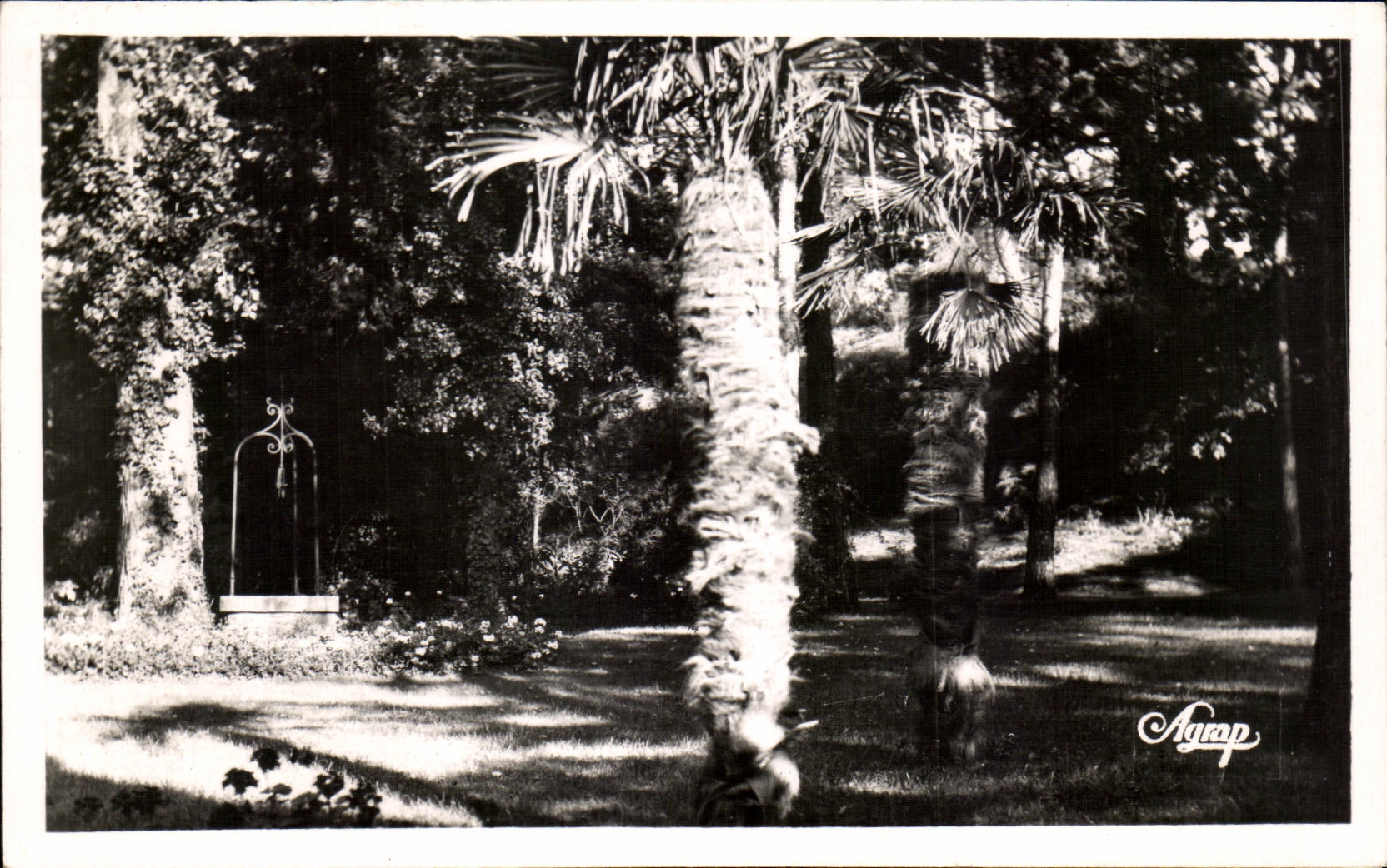 CPA La Baule les Pins Parc des Deyades Les Palmiers et le Puit d Amour