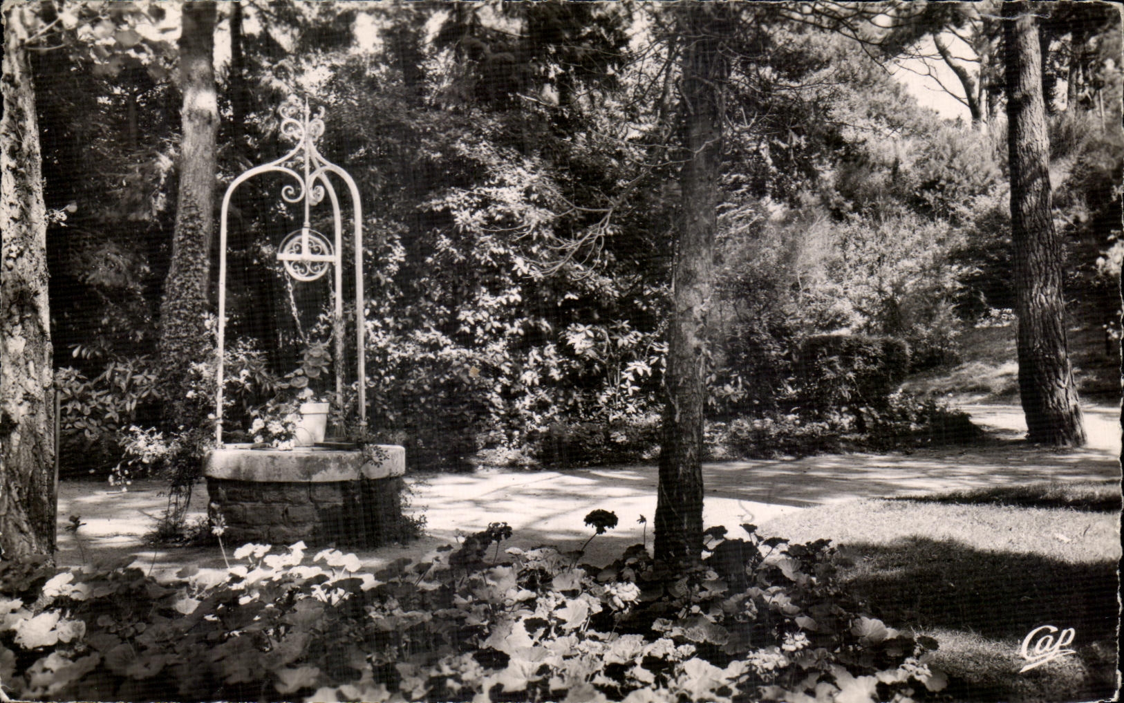 CPA La Baule les Pins Le Parc des Dryades