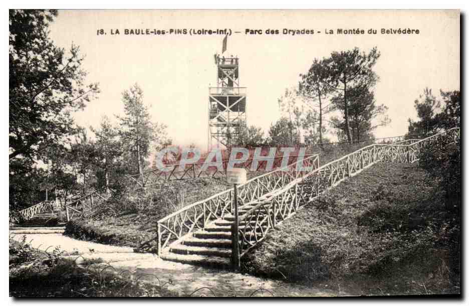 CPA La Baule les Pins Parc des Dryades La Montee du Belvedere