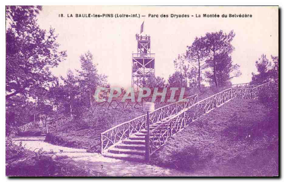 CPA La Baule les Pins Parc des Dryades La Montee du Belvedere