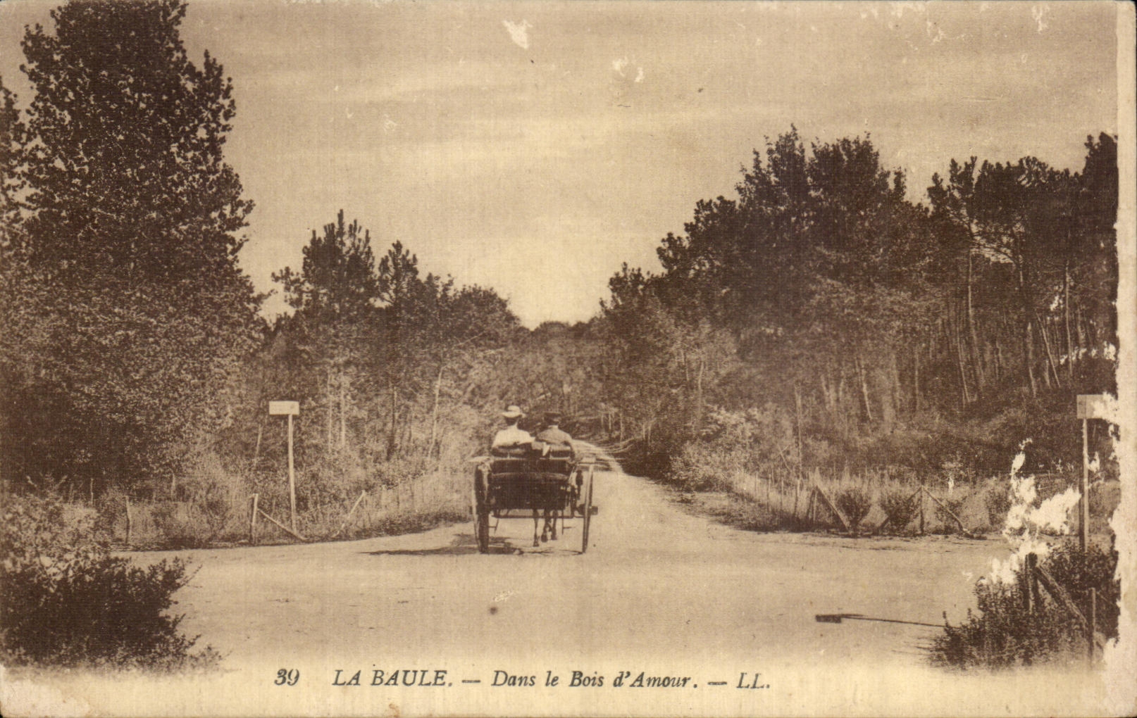 CPA La Baule Dans le Bois d Amour