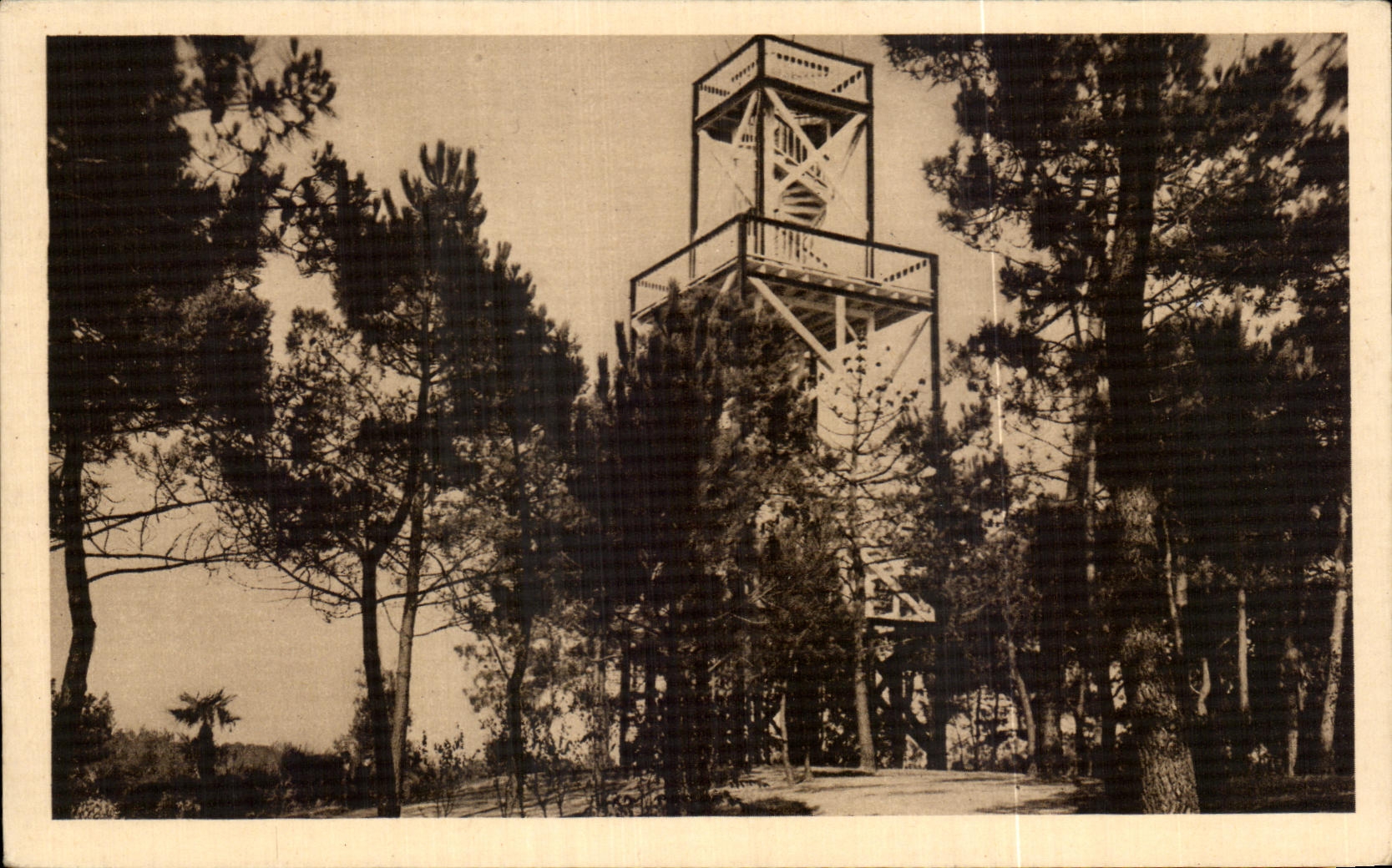 CPA La Baule les Pins Le Belvedere du Parc des Dryades