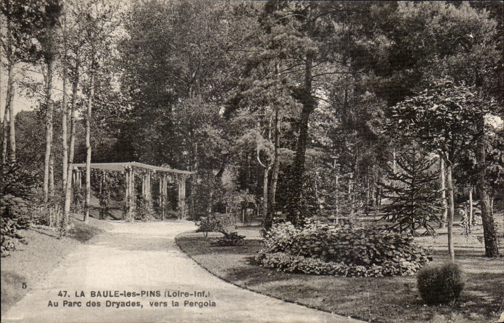 CPA La Baule les Pins Au Parc des Dryades vers la Pergola