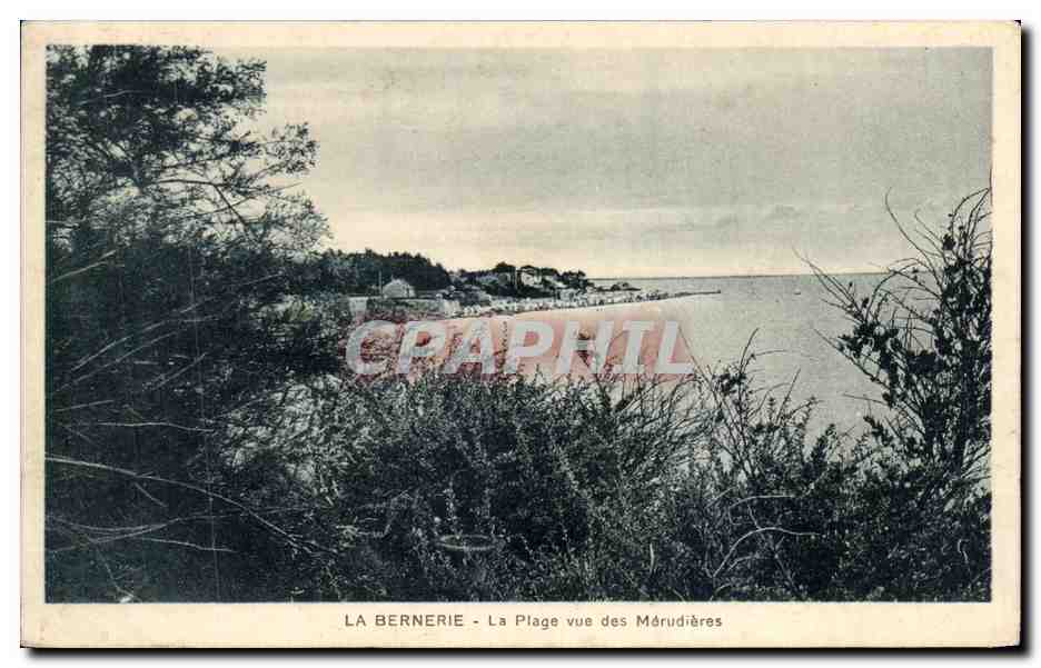 CPA La Bernerie La Plage vue des Merudieres