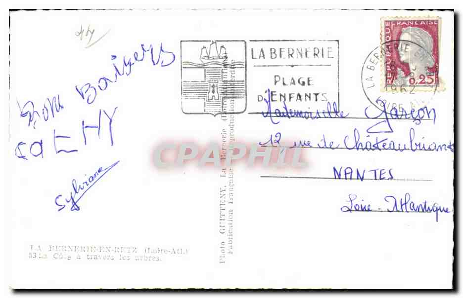 CPSM La Bernerie en Retz Cote a travers les urbres — Rückseite