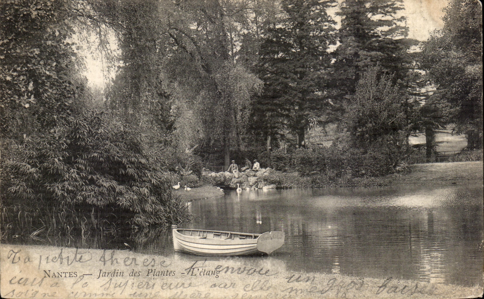 CPA Nantes Jardin des Plantes L etang