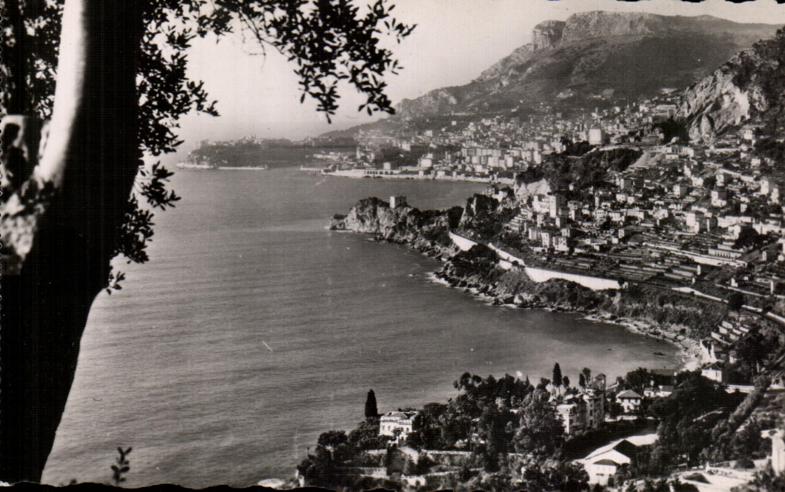 CPA la Cote d Azur Monte Carlo vu de Roquebrune
