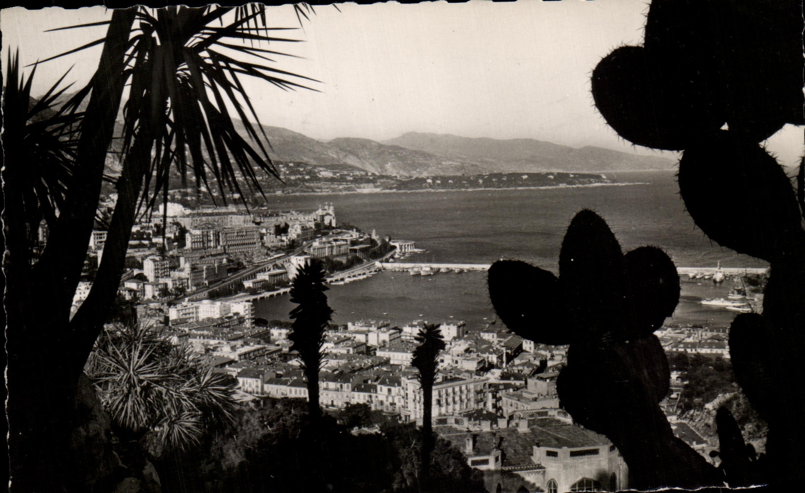 CPA Principaute De Monaco Vue sur le Port Monte Carlo 