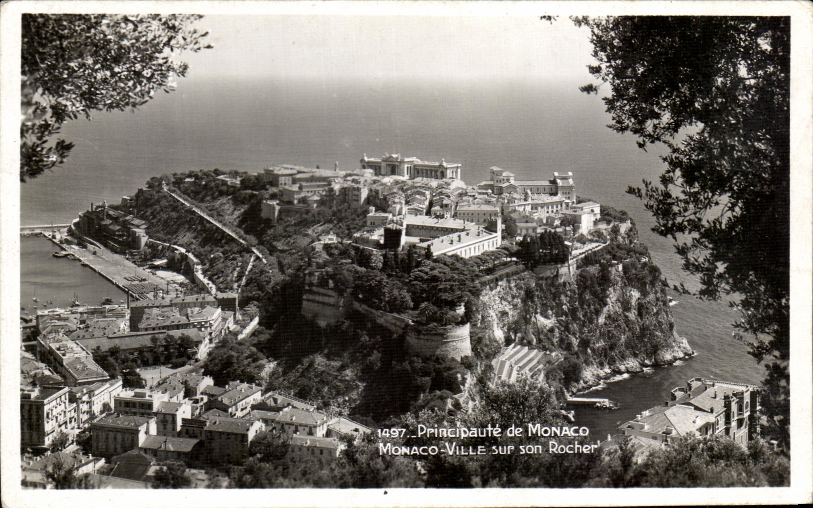 CPA Principaute de Monaco Ville sur Son Rocher