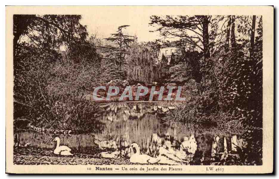 CPA Nantes Un coin du Jardin des Plantes