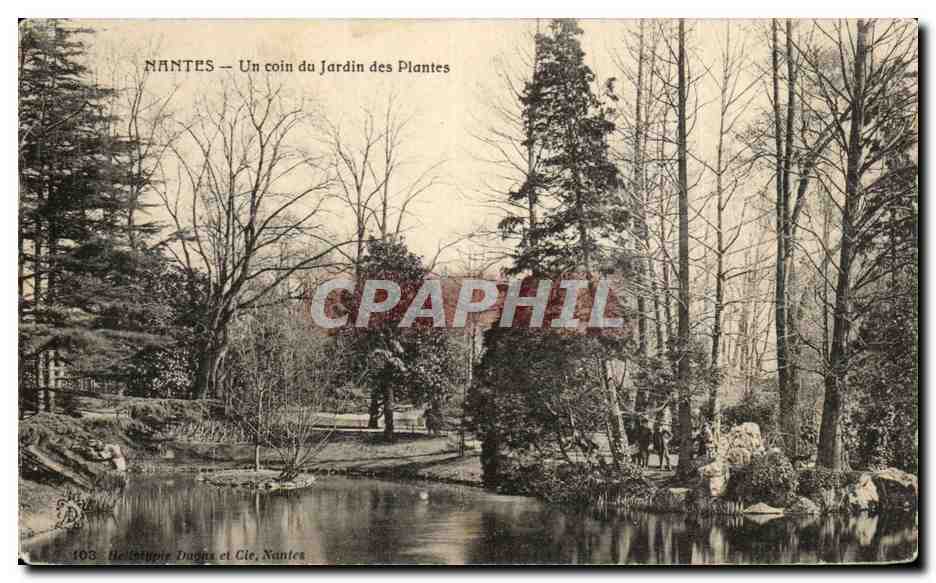 CPA Nantes Un coin du Jardin des Plantes