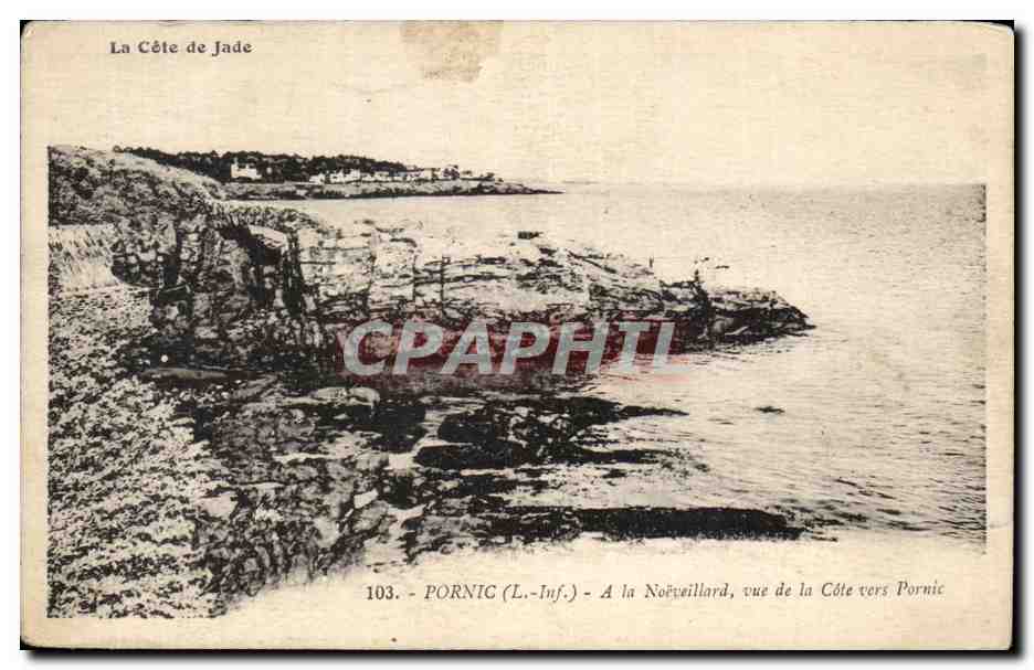 CPA Pornic A la Noeveillard vue de la Cote vers Pornic