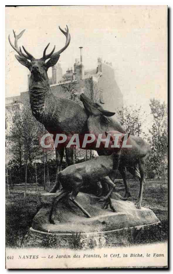 CPA Nantes Le Jardin des Plates le Cerf la Biche le Faon