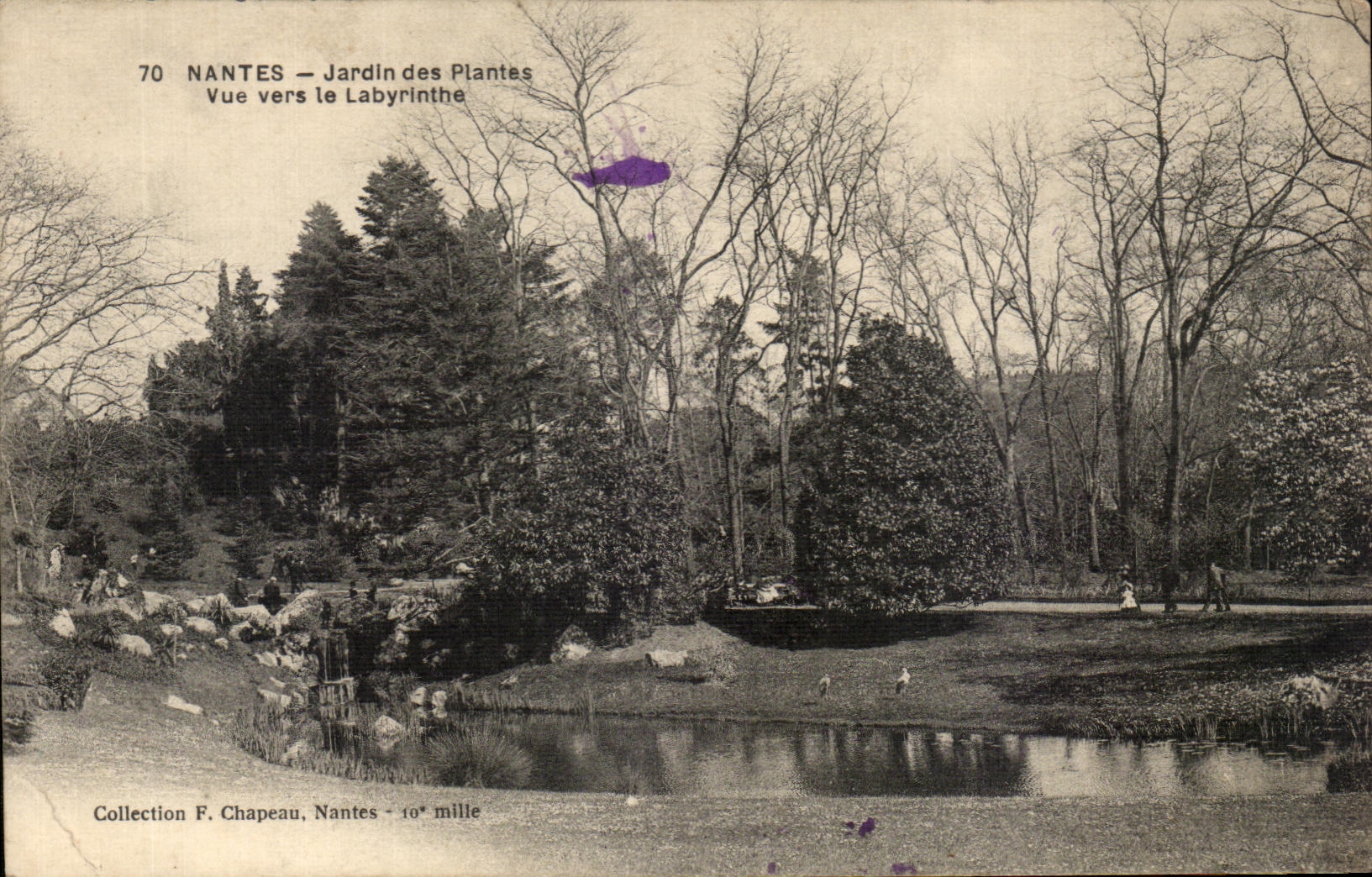 CPA Nantes Jardin des Plantes Vue vers le Labyrinthe