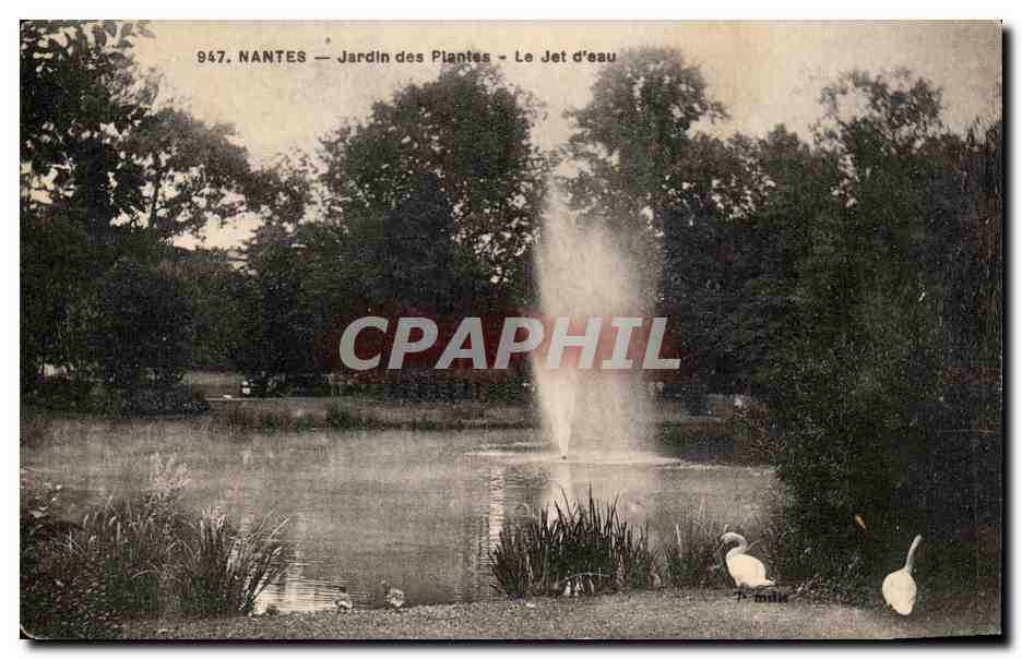 CPA Nantes Jardin des Plantes Le Jet d eau