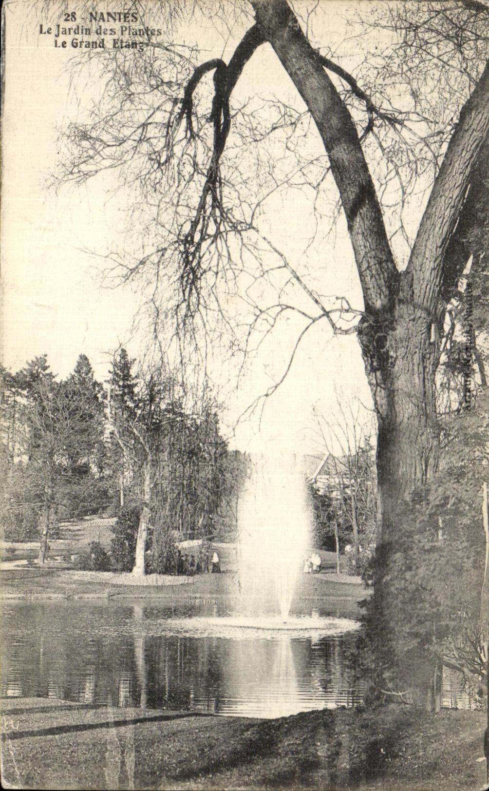 CPA Nantes Le Jardin des Plantes Le Grand etang