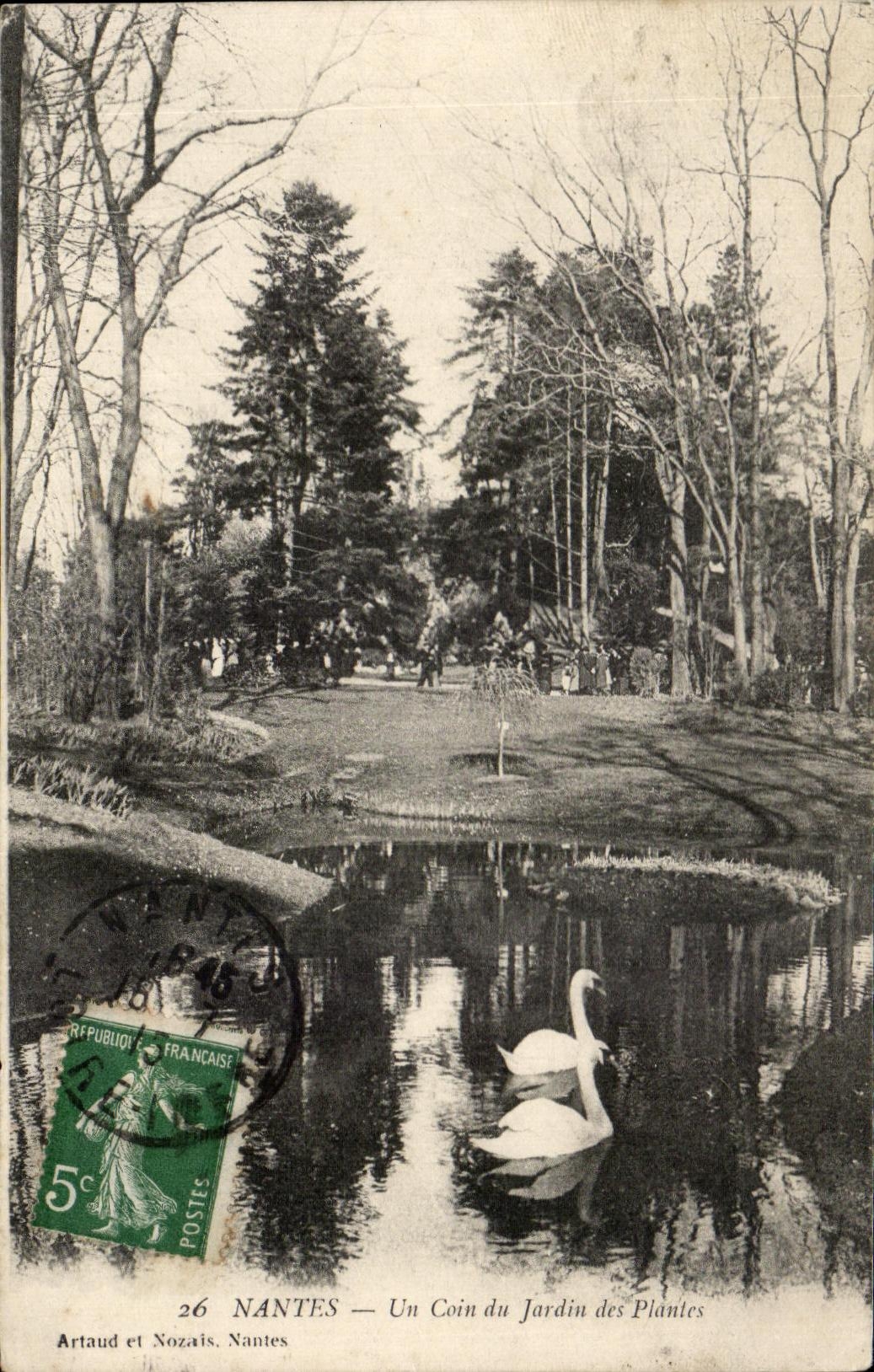 CPA Nantes Un Coin Du Jardin des Plantes Cygne Swan