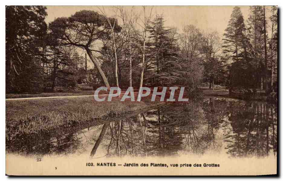 CPA Nantes Jardin des Plantes Vue Prise des Grottes