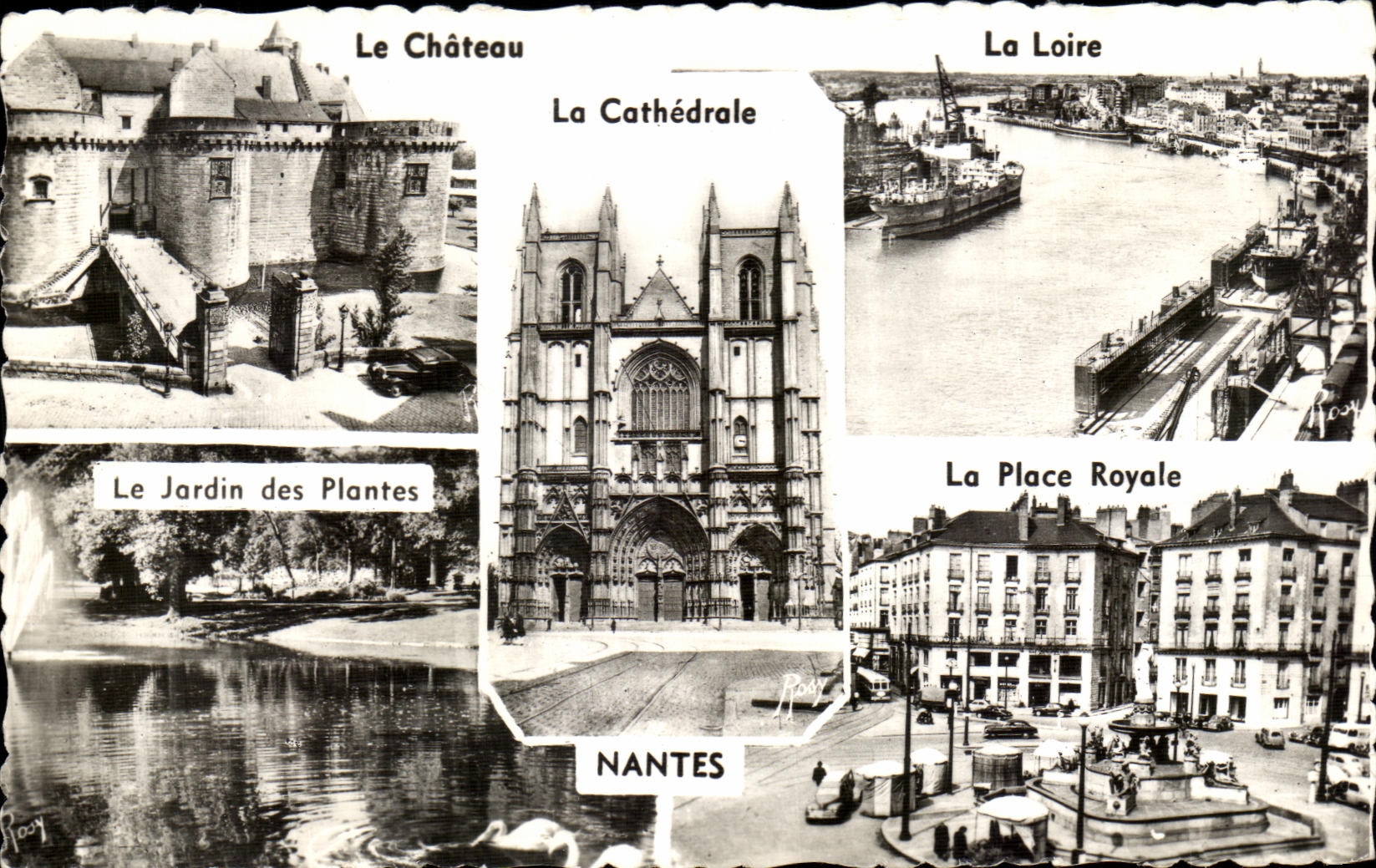 CPA Nantes Le Jardin des Plantes La Place Royale