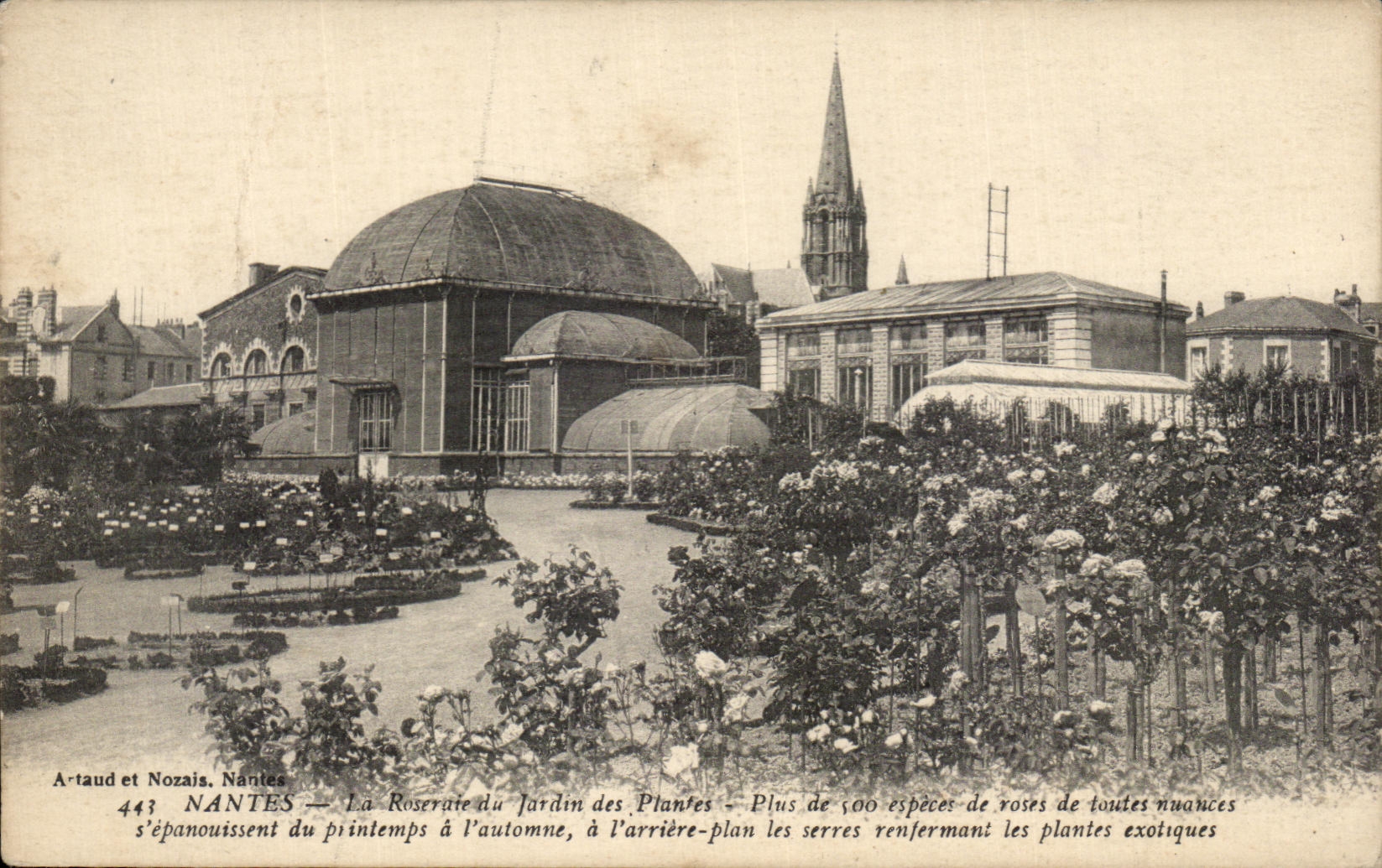 CPA Nantes La Roseraie du Jardin des Plantes