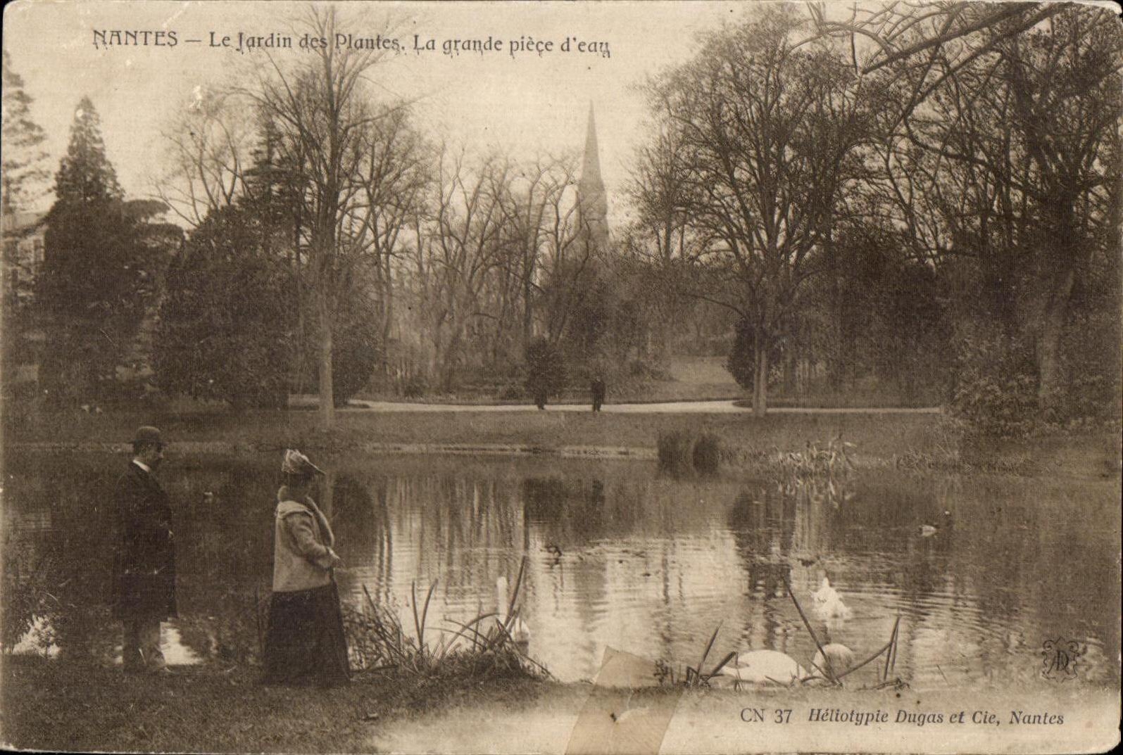 CPA Nantes Le Jardin des Plantes La grande Piece d eau Cygne Swan