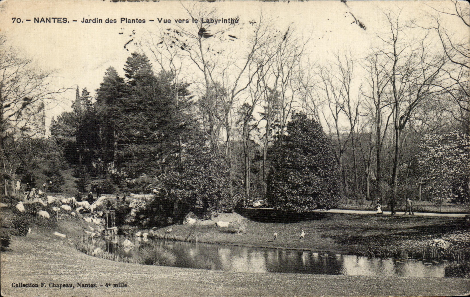 CPA Nantes Jardin des Plantes Vue vers le Labyrinthe