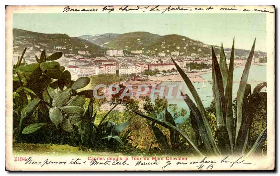 CPA Cannes depuis la Tour du Mont Chevalier